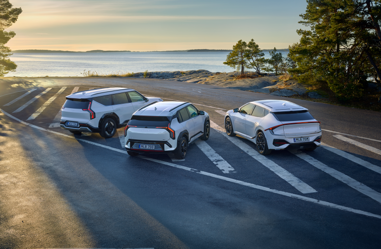 Stort utbud av bilar i lager